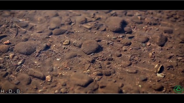 Alexi Blue - Wild Heart - Original Song - (Official Music Video) - On iTunes & Spotify