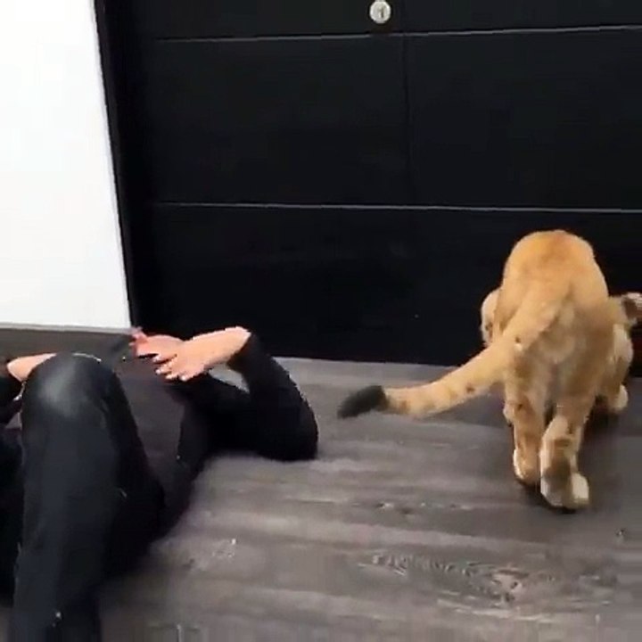 Обнимашки