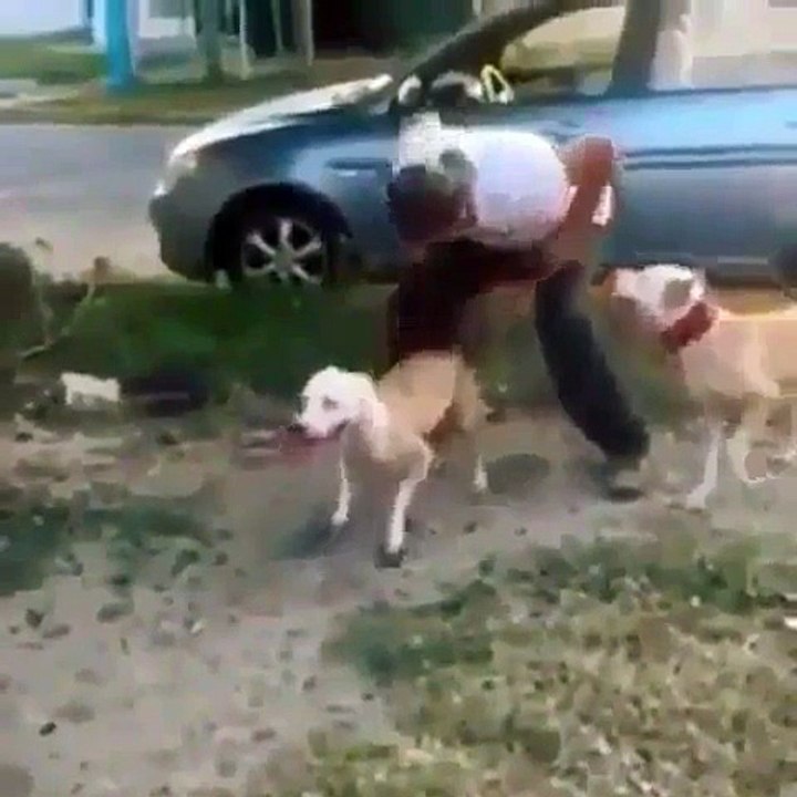 Попробуй убежать