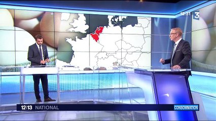 Œufs contaminés : une crise européenne