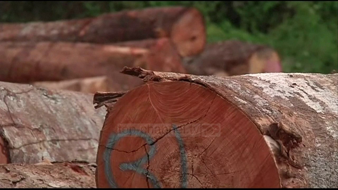 Ndryshimet klimaterike, raporti “shuplakë” Trumpit - Top Channel Albania - News - Lajme