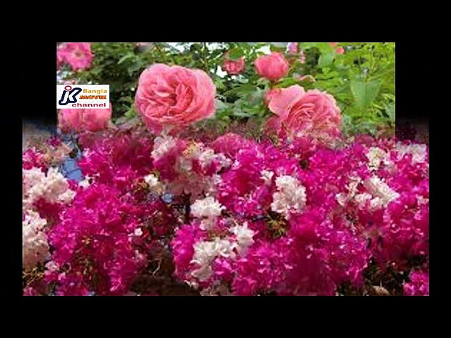 ⁣Amito Amar Golpo bolechhi tumi keno kadle--Singer Shahnaz Rahmatullah