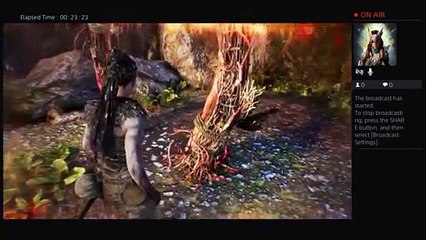 Hellblade: Senua's Sacrifice Day One Gameplay (16)