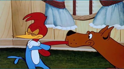 PICA PAU - O CAMPEÃO DE VALE TUDO