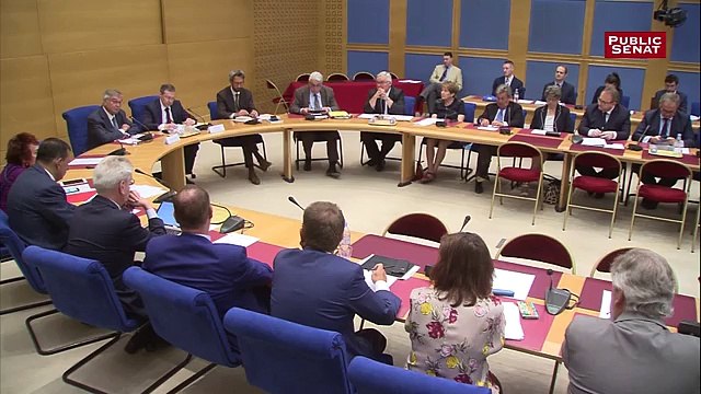 Soupçons d'emplois fictifs: L'ex-ministre de la Justice Michel Mercier renonce à intégrer le Conseil constitutionnel