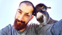 Mardinli Mucit Hasan, Yaptığı Yürüteçlerle Engelli Hayvanları Hayata Bağlıyor