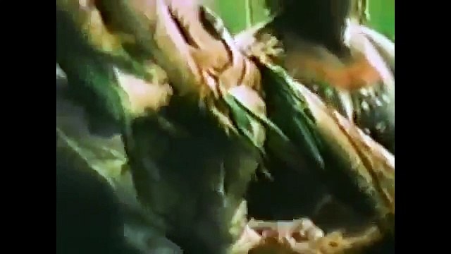 The Disappearence of Michael Rockefeller (Documentary)