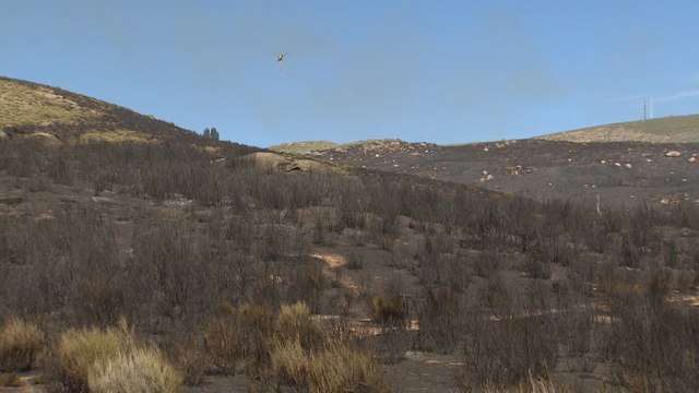 La Junta rebaja a nivel 1 el incendio en la sierra de Gredos
