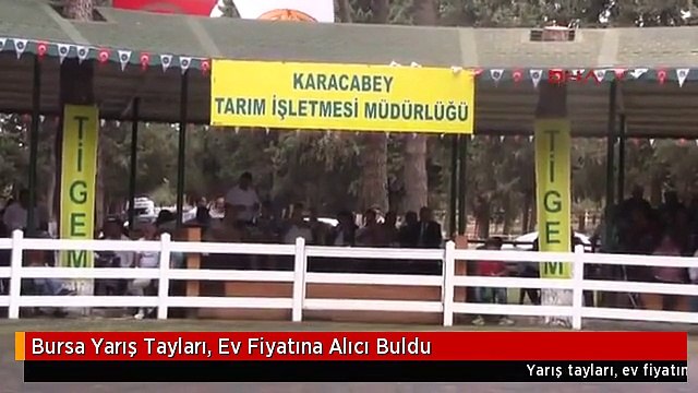 Bursa Yarış Tayları, Ev Fiyatına Alıcı Buldu