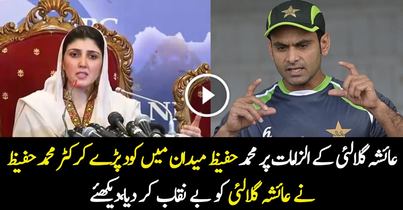 Mohammad Hafeez GREAT  Response on Ayesha Gulalai Statement About Imran Khan
