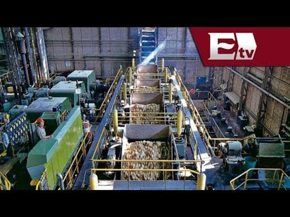 ¿Importación de azúcar mexicana daña al mercado de Estados Unidos? / Dinero con Darío Celis