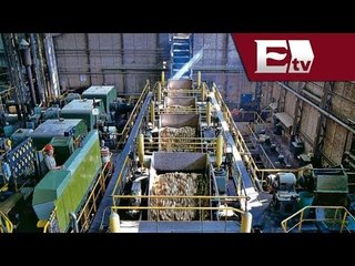 ¿Importación de azúcar mexicana daña al mercado de Estados Unidos? / Dinero con Darío Celis