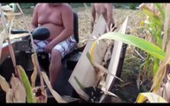 Amazing Primitive Technology - World Modern Agriculture Progress - dailymotion