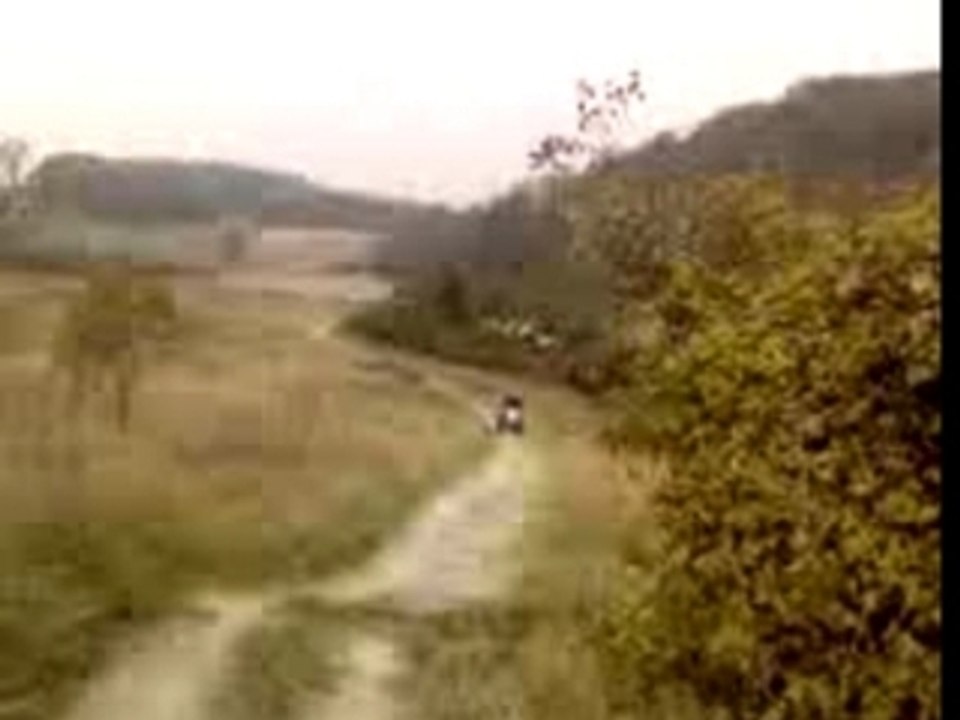 MOV00019