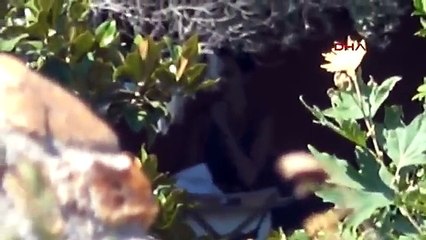 Adriana Lima'nın Bodrum'da Metin Hara ile Görüntülenmesi