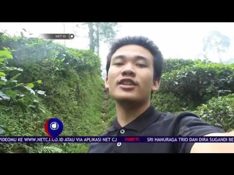 Jalan - jalan ke Kebun Teh Pagilaran - NET 10