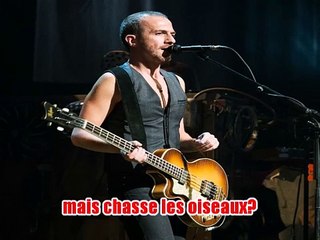 Calogero - Drôle d'animal KARAOKE / INSTRUMENTAL