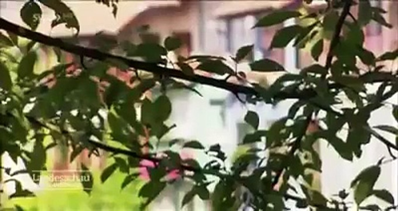 Bad Kreuznach: Nachts nun Sperrzonen auf öffentlichen Plätzen aufgrund Kriminalität