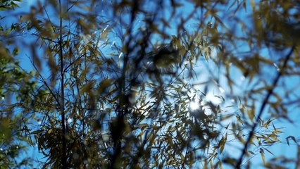 DYK 낙태수술비용 [낙태수술  ssuu22299@gmail.com ~메일로 문의하세요.] 낙태가능한병원