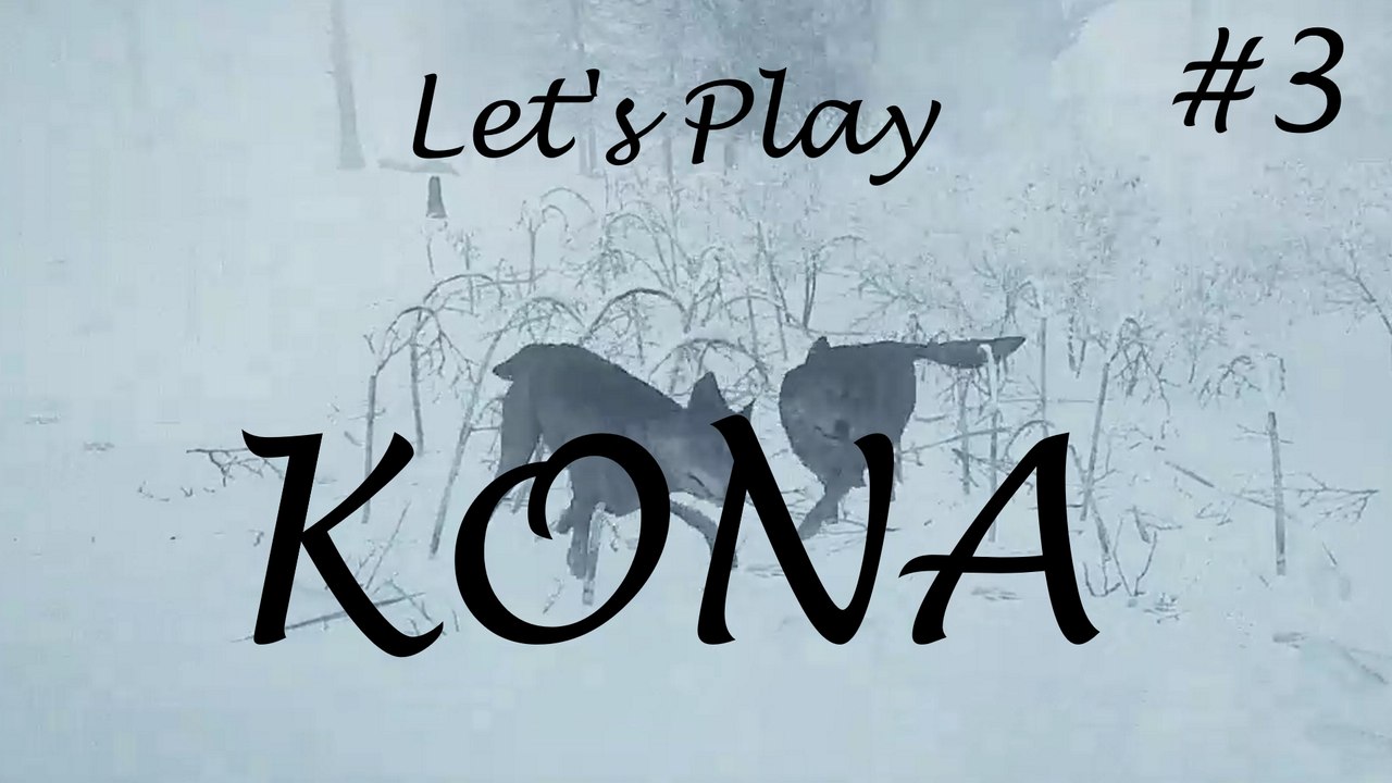 Let's Play 'Kona', Teil 3: Viele Worte, wenig Infos