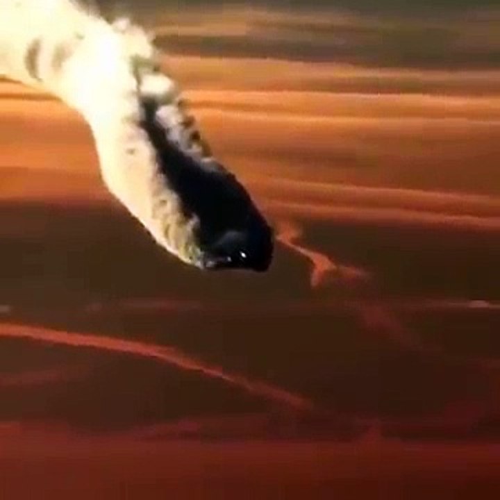 Dampfmaschienen-Flugzeug o. doch eher´n Chemtrail???