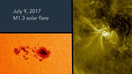 Two Weeks in the Life of a Sunspot