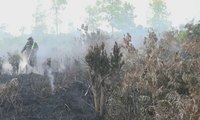 Satgas & TNI Terus Perkecil Sebaran Lahan Terbakar di Riau