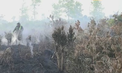 Satgas & TNI Terus Perkecil Sebaran Lahan Terbakar di Riau