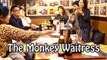 Japanese bar where you are served by a Macaque waiter