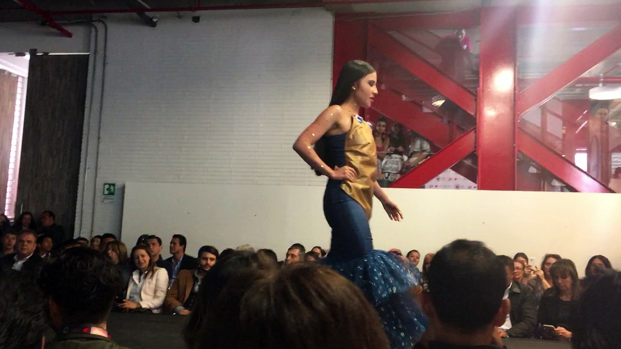 Pasarela Lci Stef