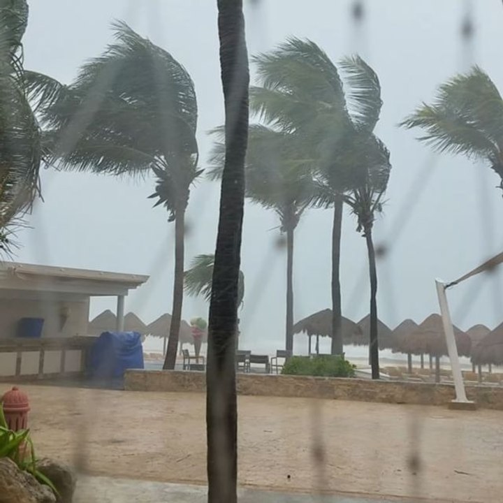 Tropical Storm Franklin Whips Palm Trees at Playa del Carmen Resort