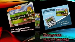 0815-7109-993 (Bpk Yogie) | BioCypress  Medan| Biocypresss Distributor