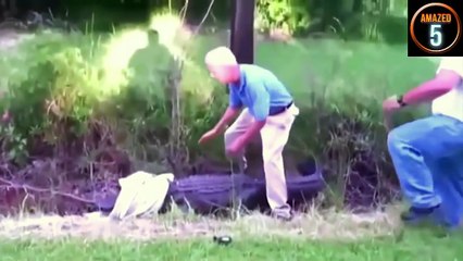 9 Real crocodile attacks on human caught on video 2016