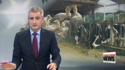 More than 2.7 million livestock died in Korea this summer due to hot weather