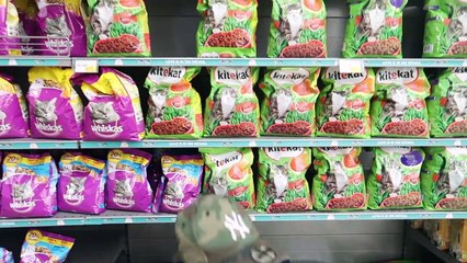 تحدي من أسرع واحد ينطرد من السوبر ماركت (الأمن جا لايفوتكم وش الي صار ) !