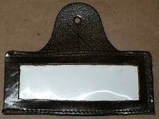 Sylvia Plath's Tulips