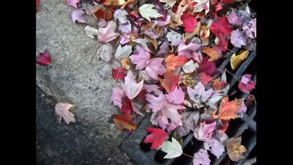 Αποφραξεις Νέο Ψυχικό – 2106852718 – Apofraχeis Neo Psixiko