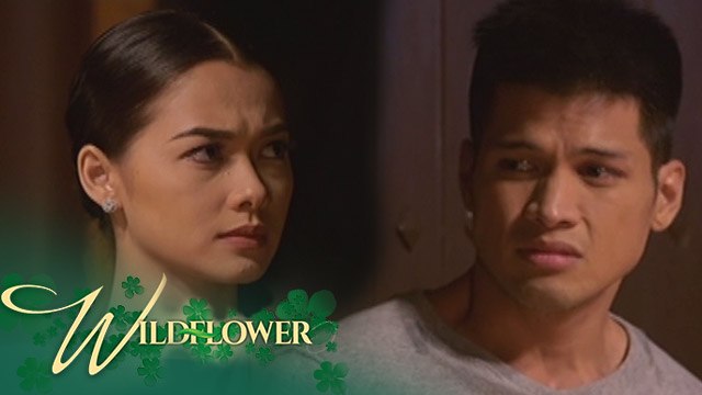 Wildflower: Jepoy finally admits his feelings for Ivy | EP 123