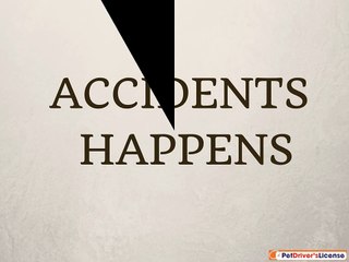 Always Save Your Dog with Pet Drivers License Tag