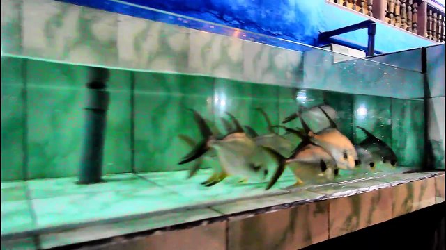 Yummy Seafood Dinner at Ganesha Cafe -PANTAI JIMBARAN, Bali , Indonesia