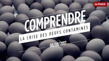 Comprendre la crise des oeufs contaminés