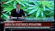 Bursa'da uyuşturucu operasyonu (Haber 08 08 2017)