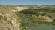 La Sierra Sur de Sevilla sufre sequía