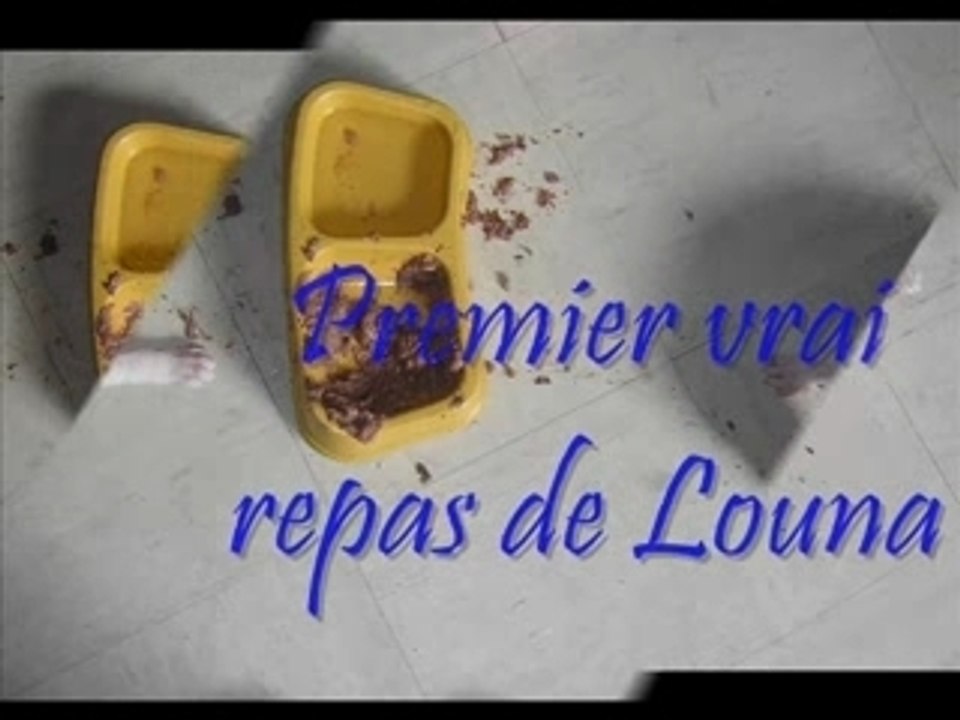Les débuts de Louna