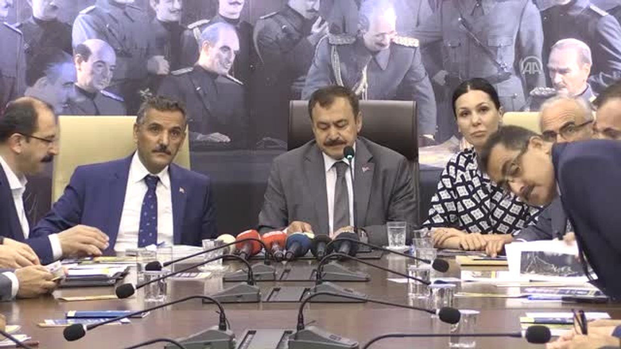 Bakan Eroğlu: "Yeşil Yol Yapılınca Denetimler d...