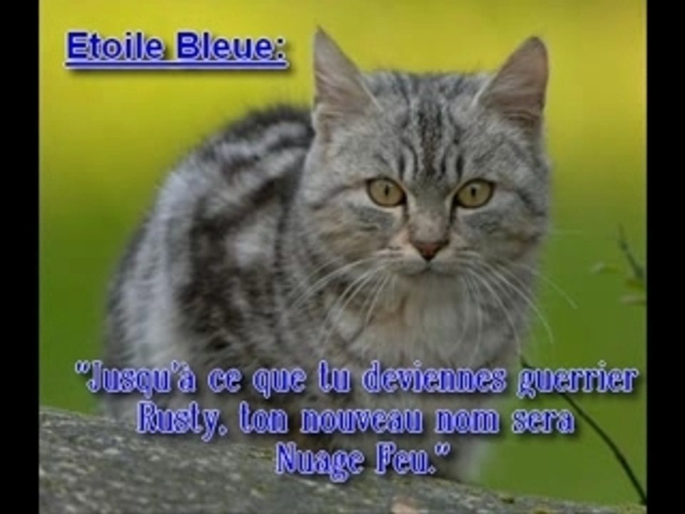 Ba La Guerre Des Clans Video Dailymotion