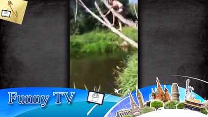 Best Fails Compilation Very Funny european Video