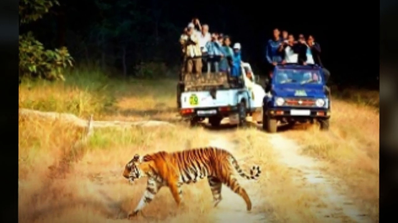 Rajasthan Tourism