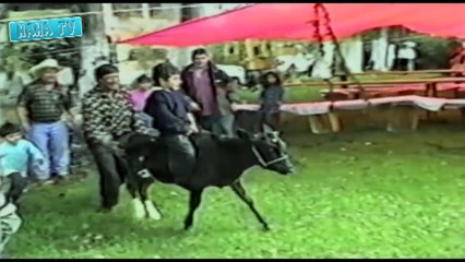 Funny Video Clips Fail Compilation 2015 Best Of Top Funny Home Videos