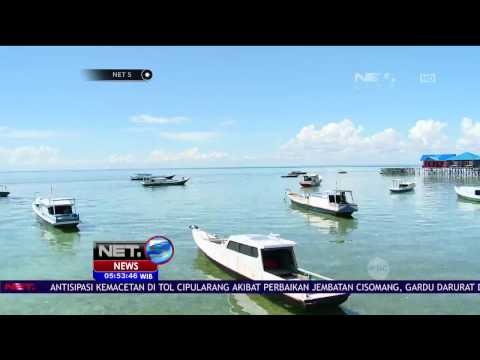 Ternyata, Derawan Tempat Menyelam Terbaik ketiga di Dunia - NET5